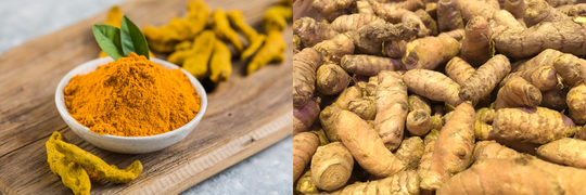 Turmeric: The Spice of Life and a Staple in Herbal Medicine