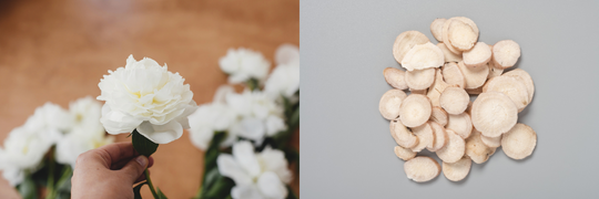 White Peony Root: An Ancient Root for Balanced Health and Harmony